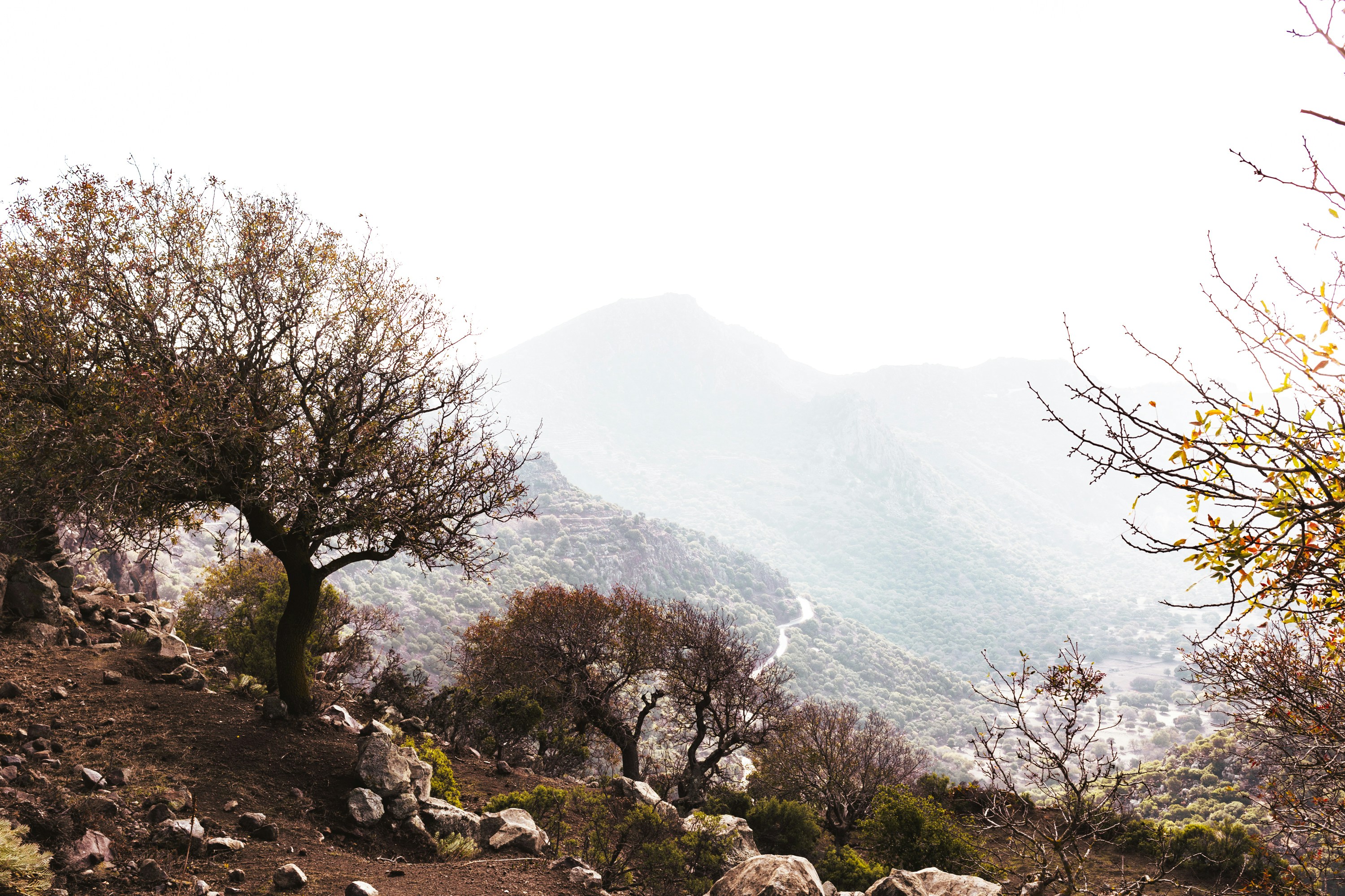 Photo by kirkphotographer