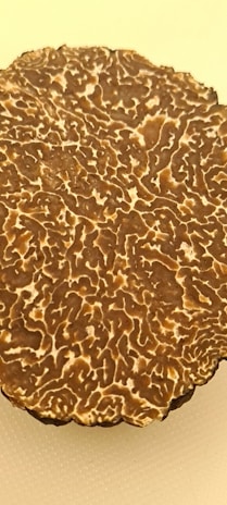 A close-up of fresh truffles on a wooden surface.