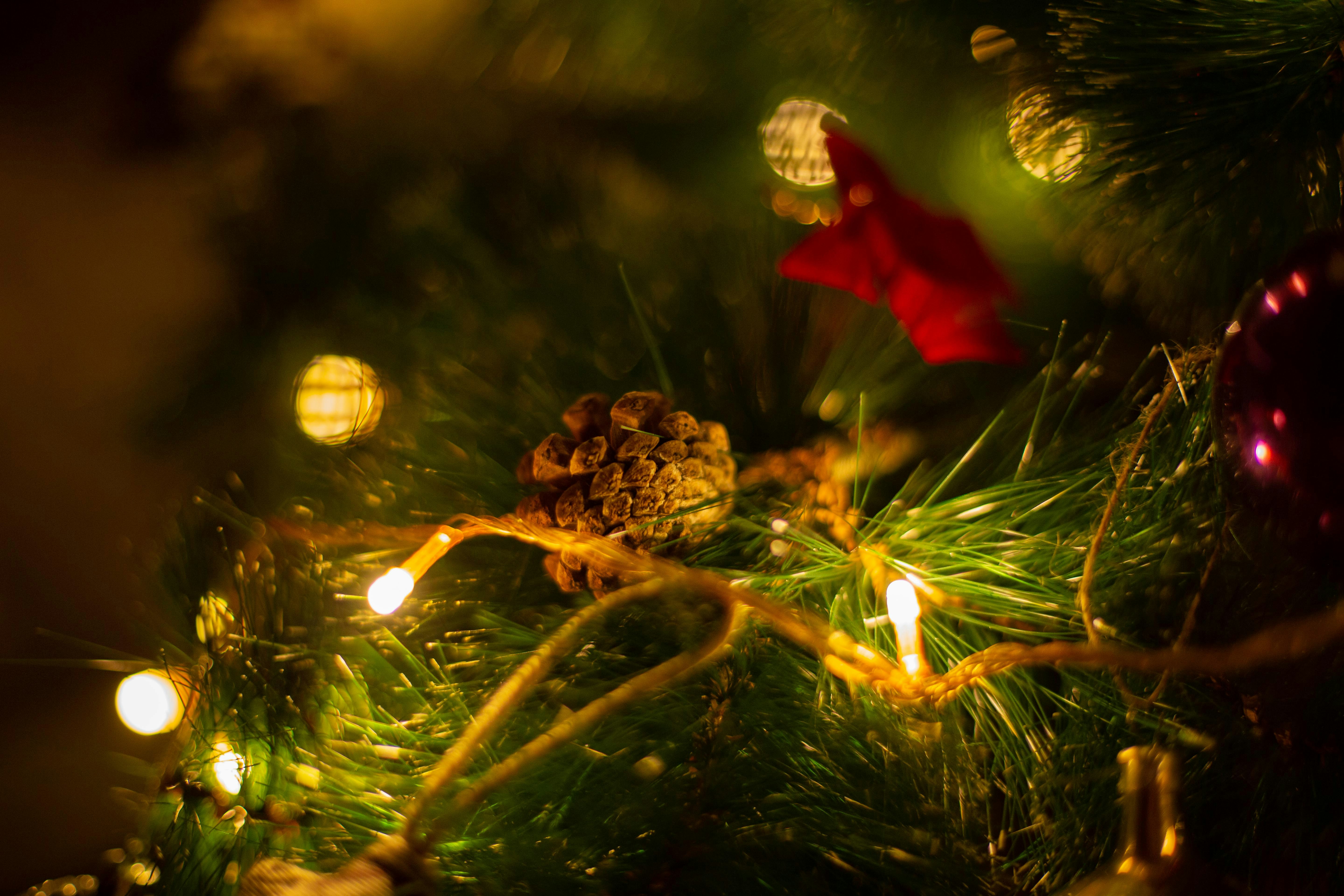 Festive Pinecone Ornaments