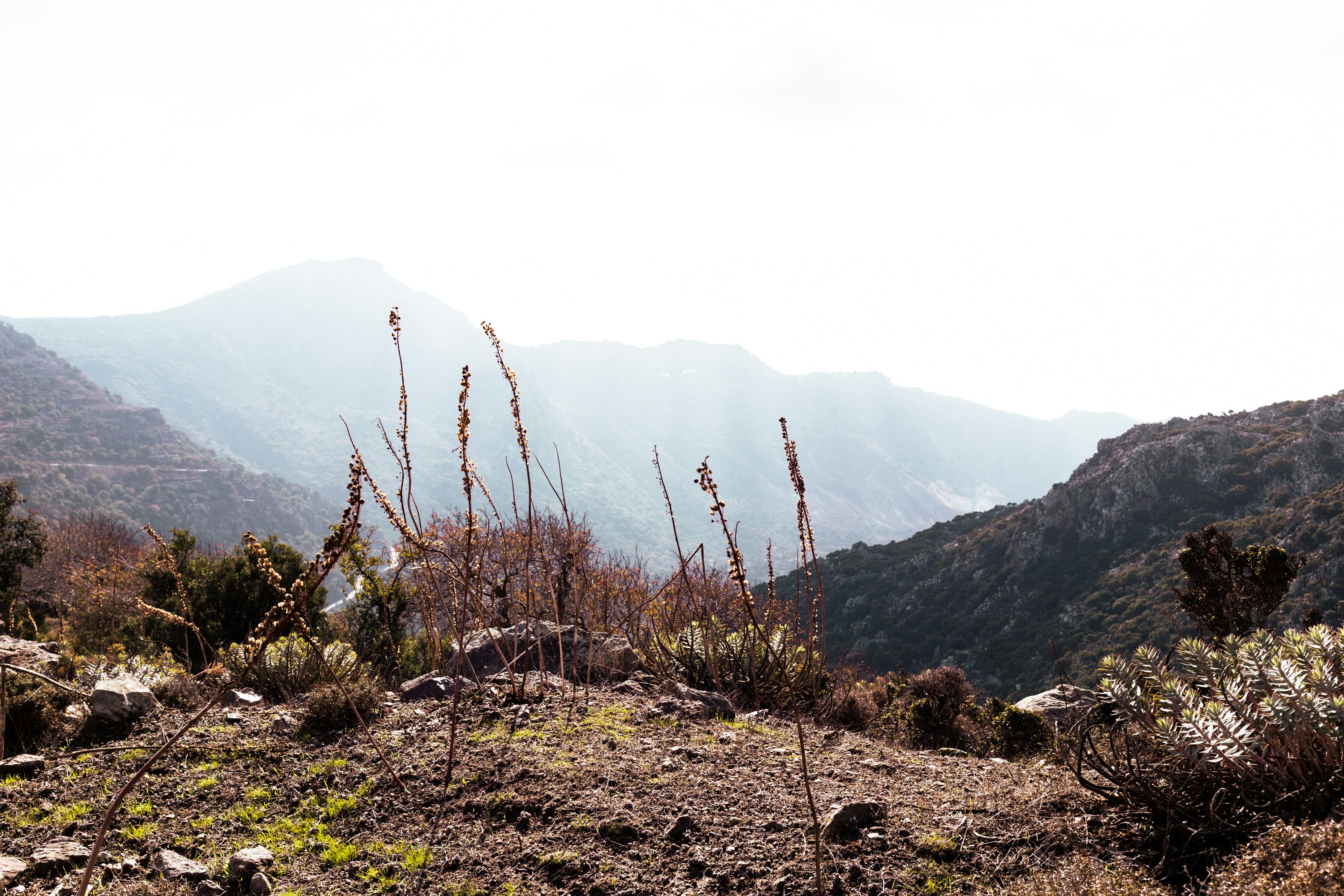 Photo by kirkphotographer