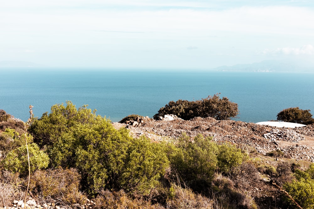 Una vista de un cuerpo de agua desde una colina