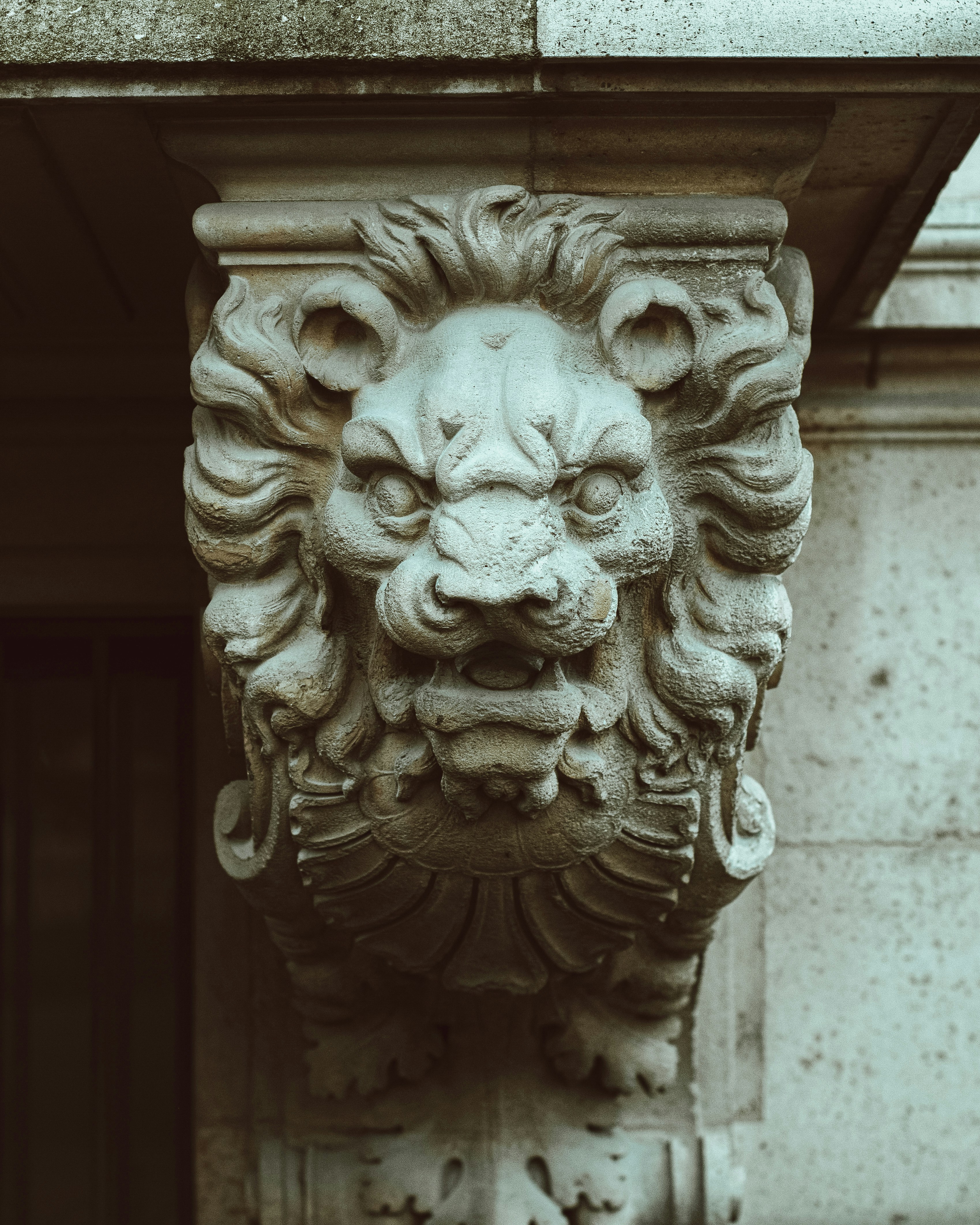 Photo by kingkonggeorge