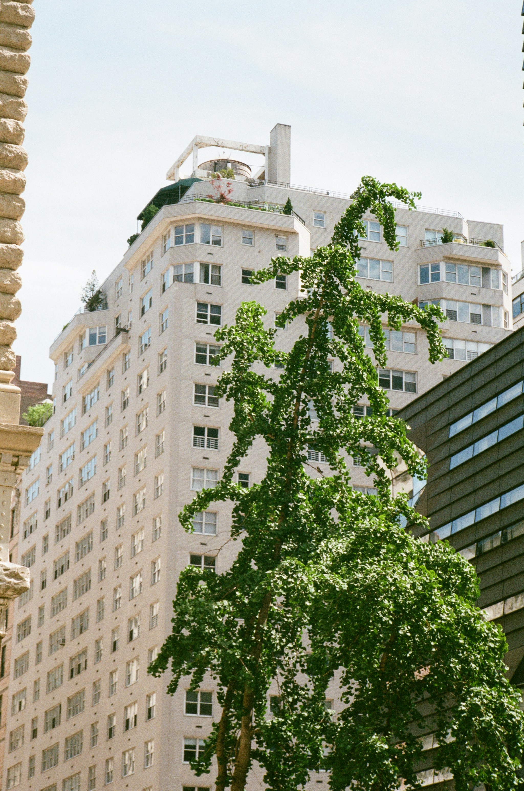 Photo by raquellucine