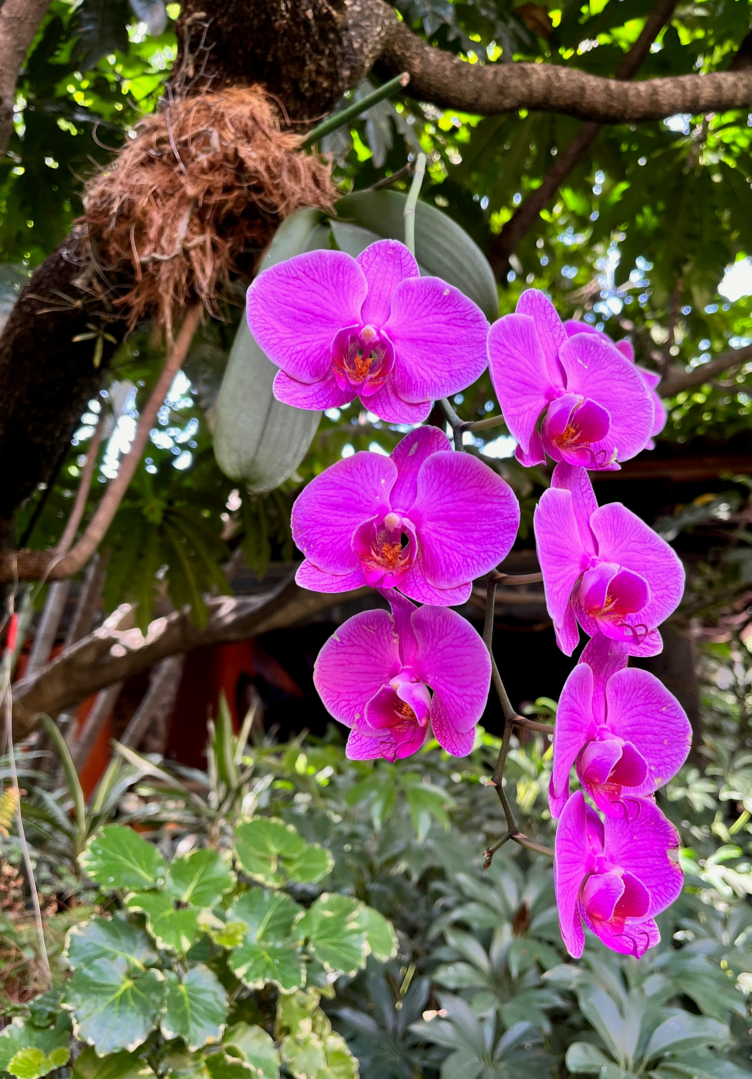 Photo by tomasmartinez