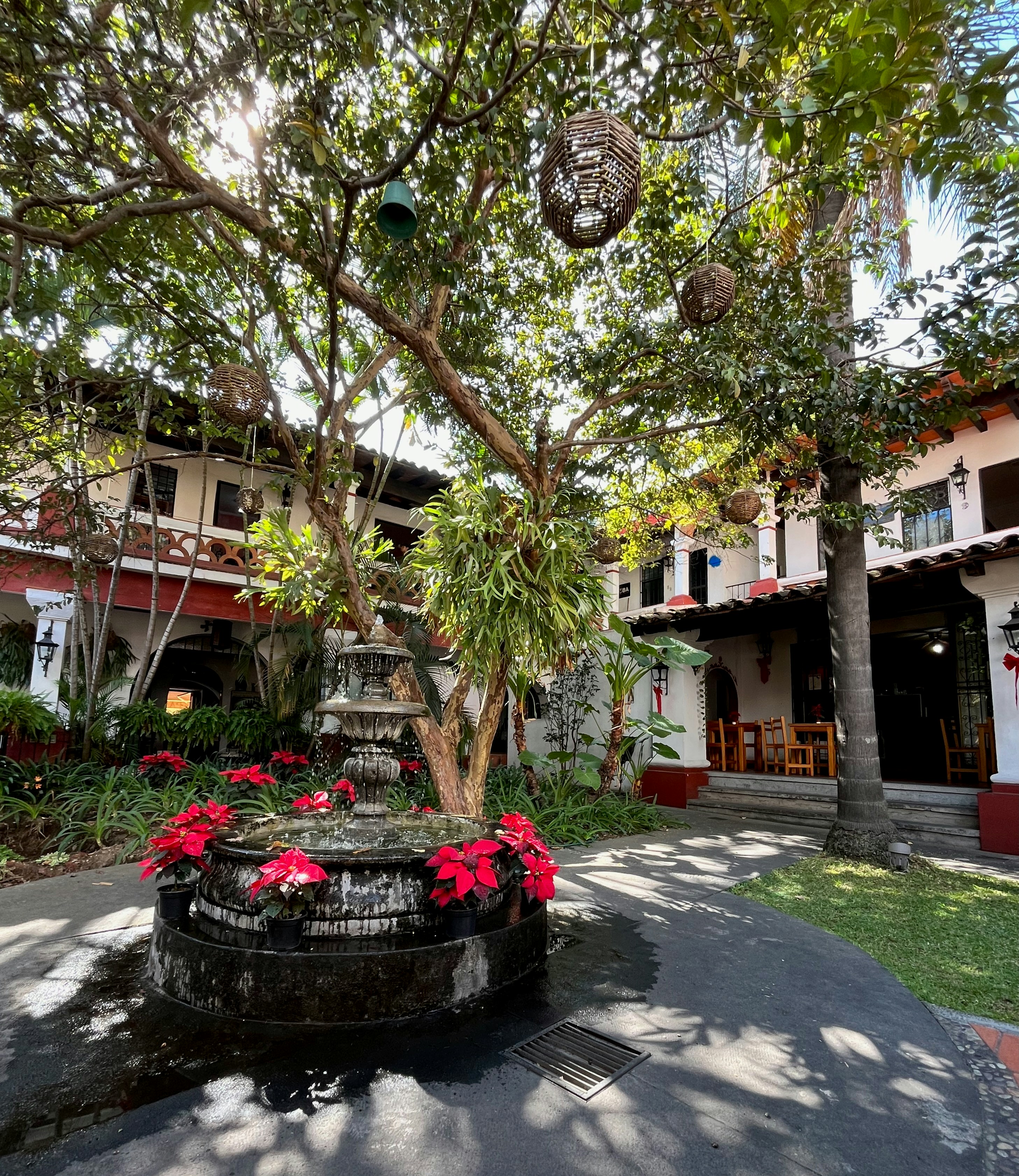 Photo by tomasmartinez