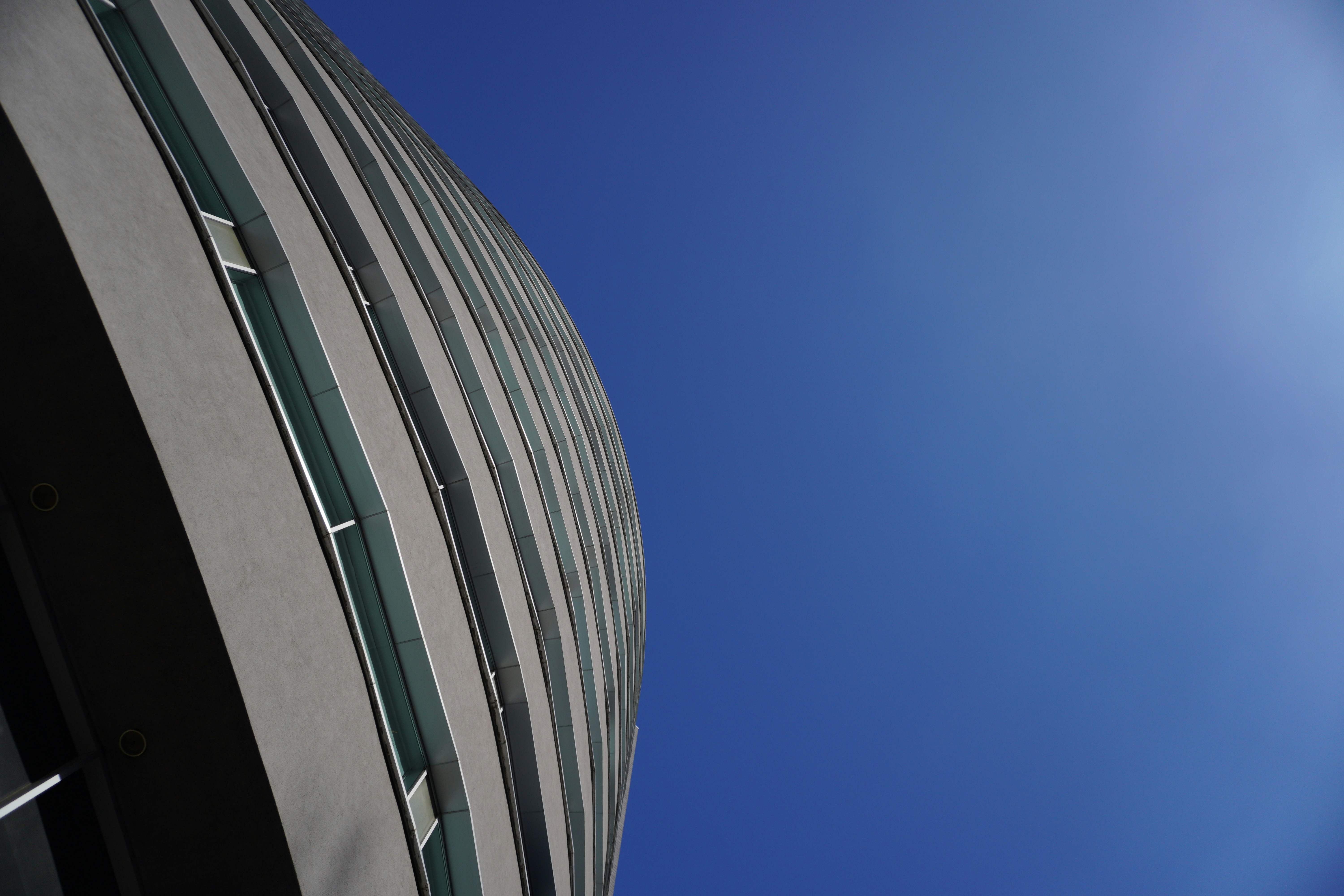 Photo by photosbymaple