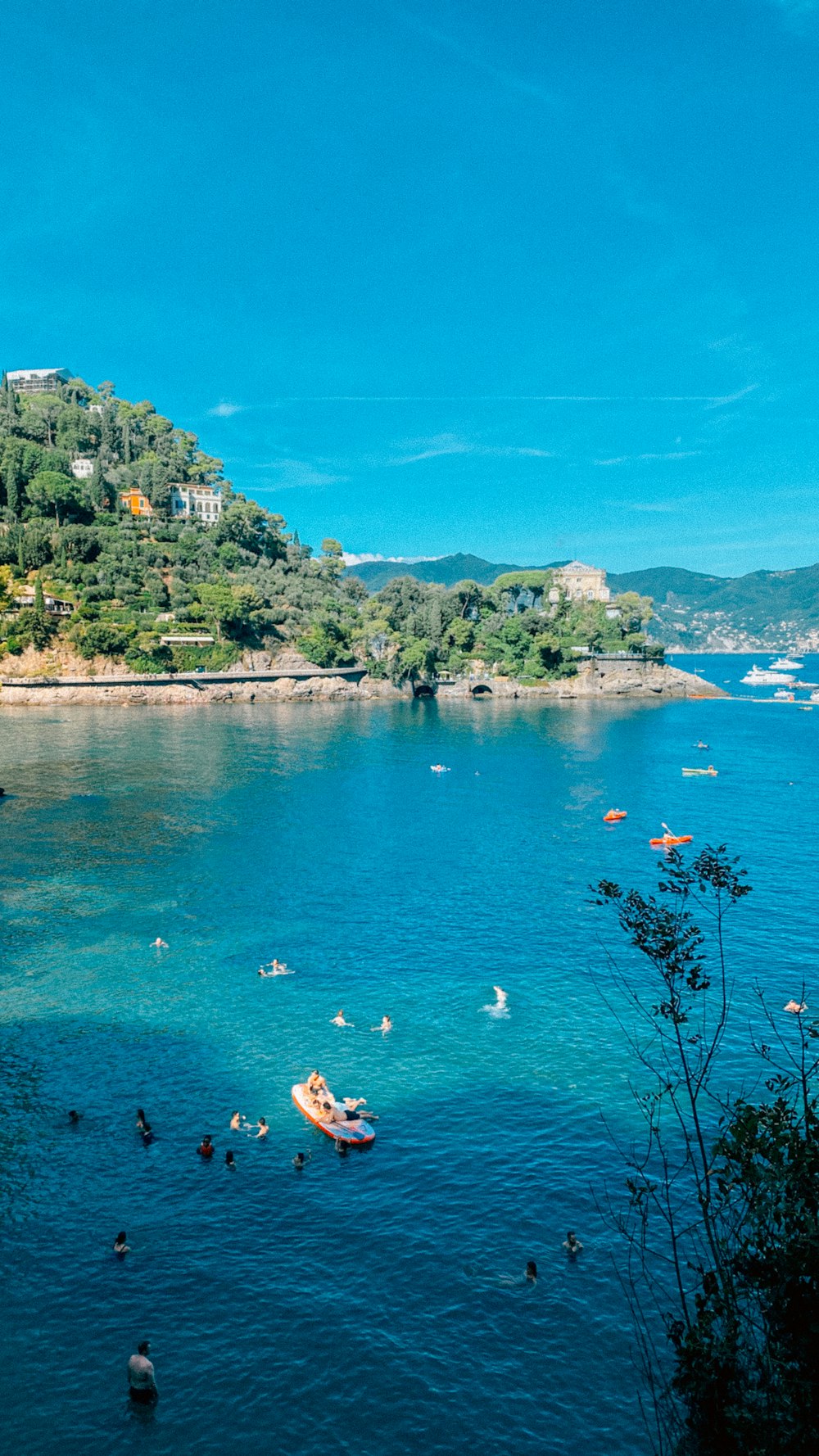 a group of people swimming in a body of water