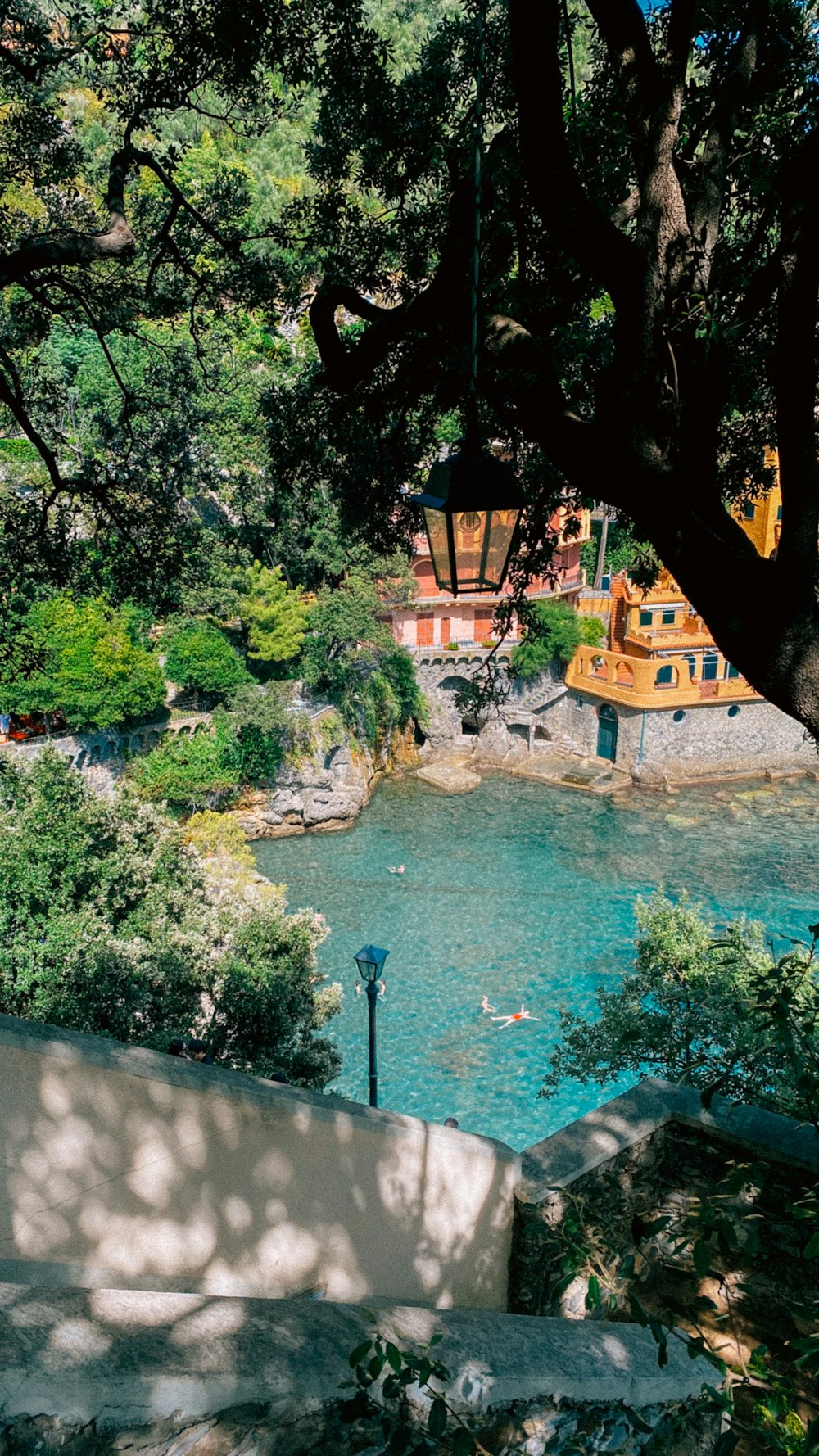 a bench sitting next to a river under a tree