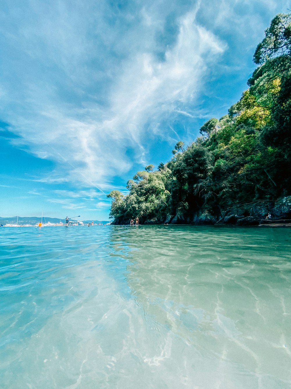 a body of water surrounded by trees and blue sky