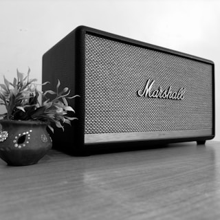 A black and white image featuring a Marshall speaker placed on a wooden surface. To the left, there is a decorative pot with foliage, adding a touch of natural element to the scene. The speaker's grille has a textured design with the brand's logo prominently displayed at the center.