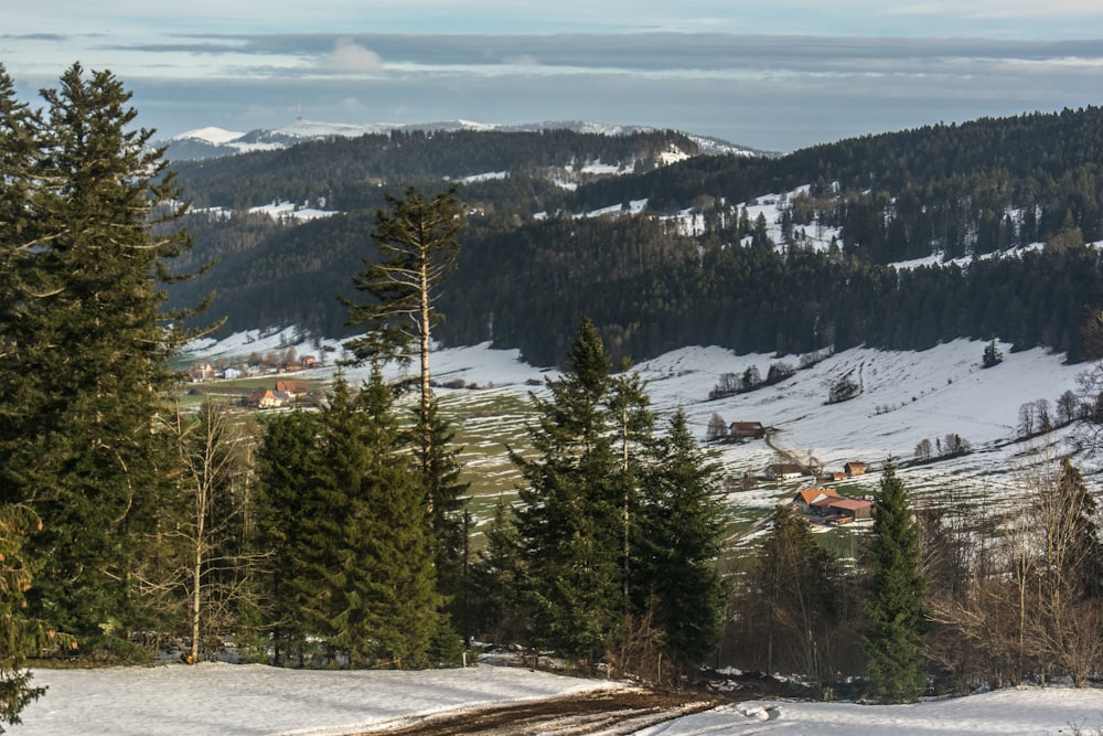 a view of a snowy mountain with a house in the distance