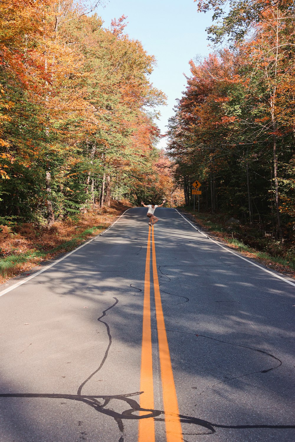 an empty road in the middle of a forest