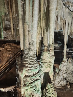 A cave with intricate stalactites and stalagmites, illuminated by soft lighting. The formations have a textured appearance, with shades of green and beige. A metal railing runs along a path, indicating a walkthrough area for visitors.