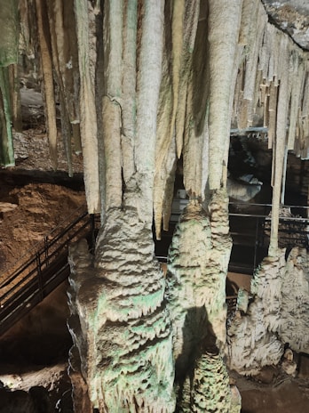 A cave with intricate stalactites and stalagmites, illuminated by soft lighting. The formations have a textured appearance, with shades of green and beige. A metal railing runs along a path, indicating a walkthrough area for visitors.