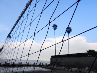 A close-up of a volleyball net with palm trees and a cloudy blue sky in the background. The scene includes a beach shoreline and a stone wall with rocks at the base.