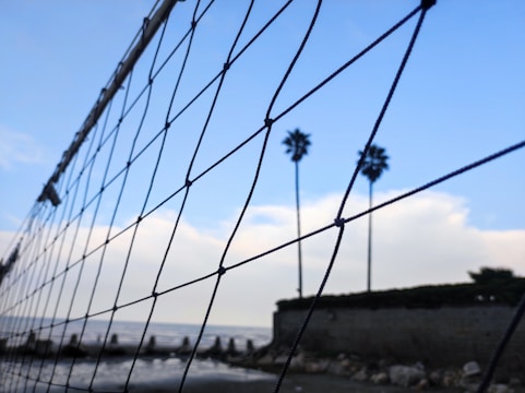 A close-up of a volleyball net with palm trees and a cloudy blue sky in the background. The scene includes a beach shoreline and a stone wall with rocks at the base.