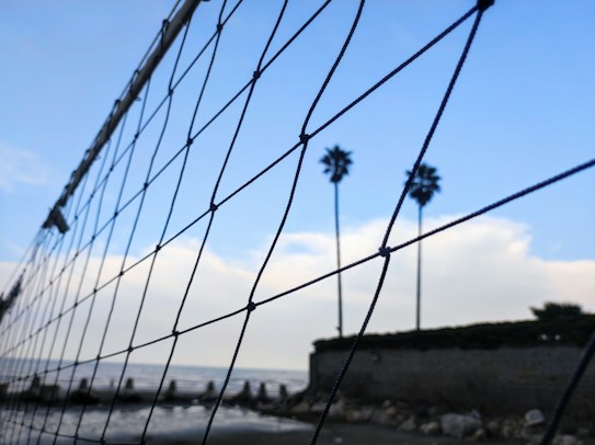 A close-up of a volleyball net with palm trees and a cloudy blue sky in the background. The scene includes a beach shoreline and a stone wall with rocks at the base.