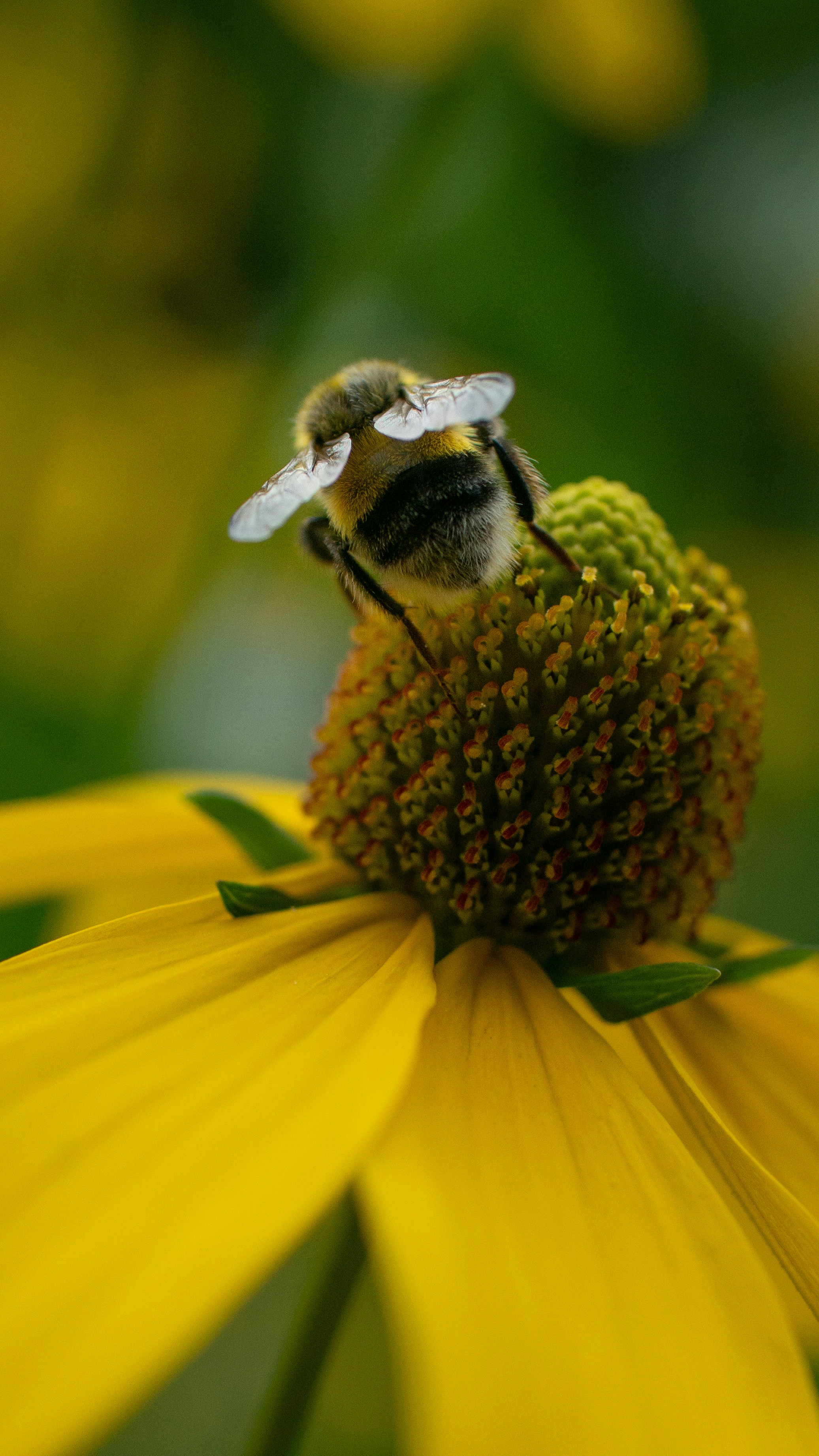 Photo by morizwohlleben