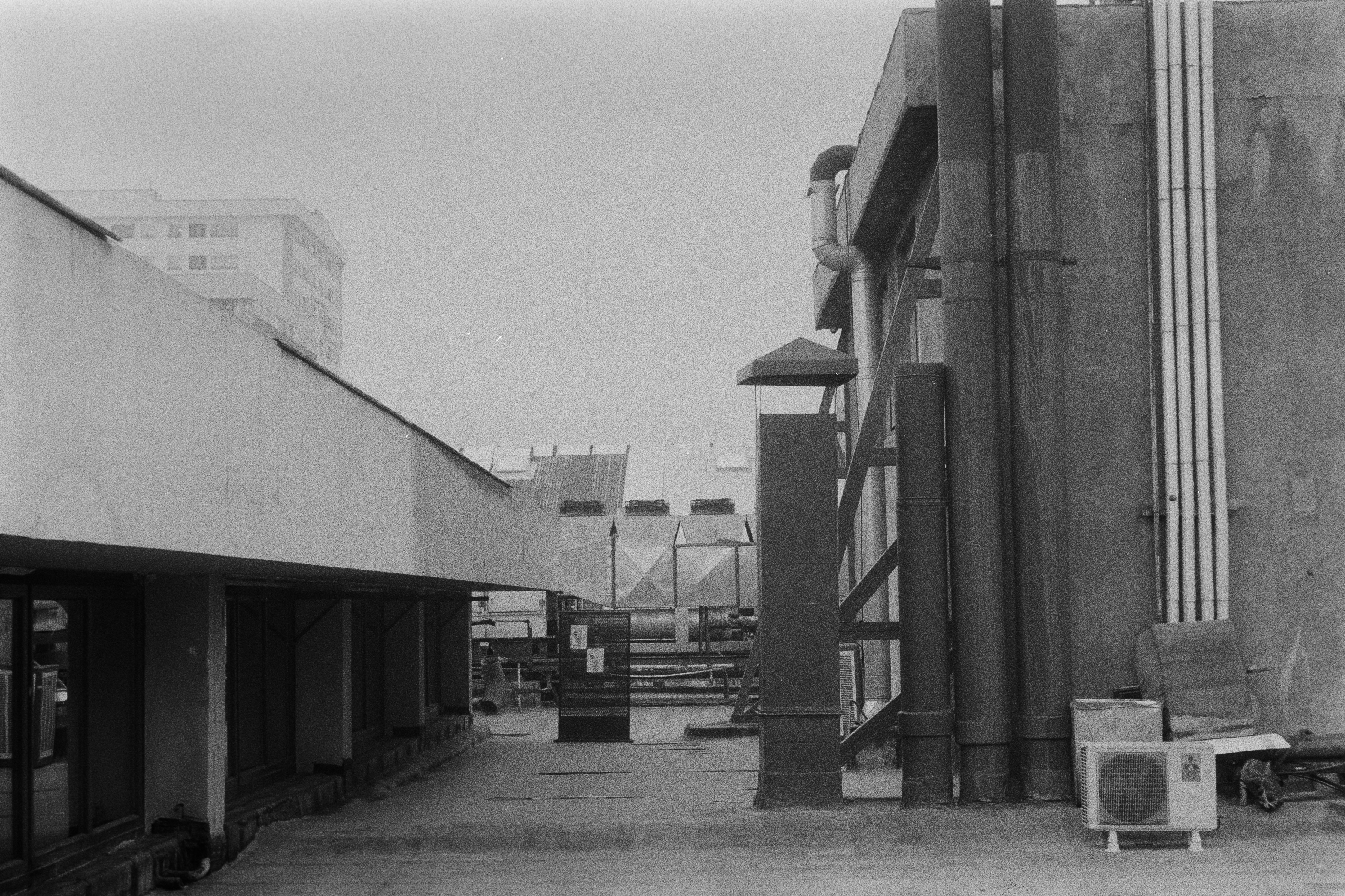 Photo by anitarahalzadeh