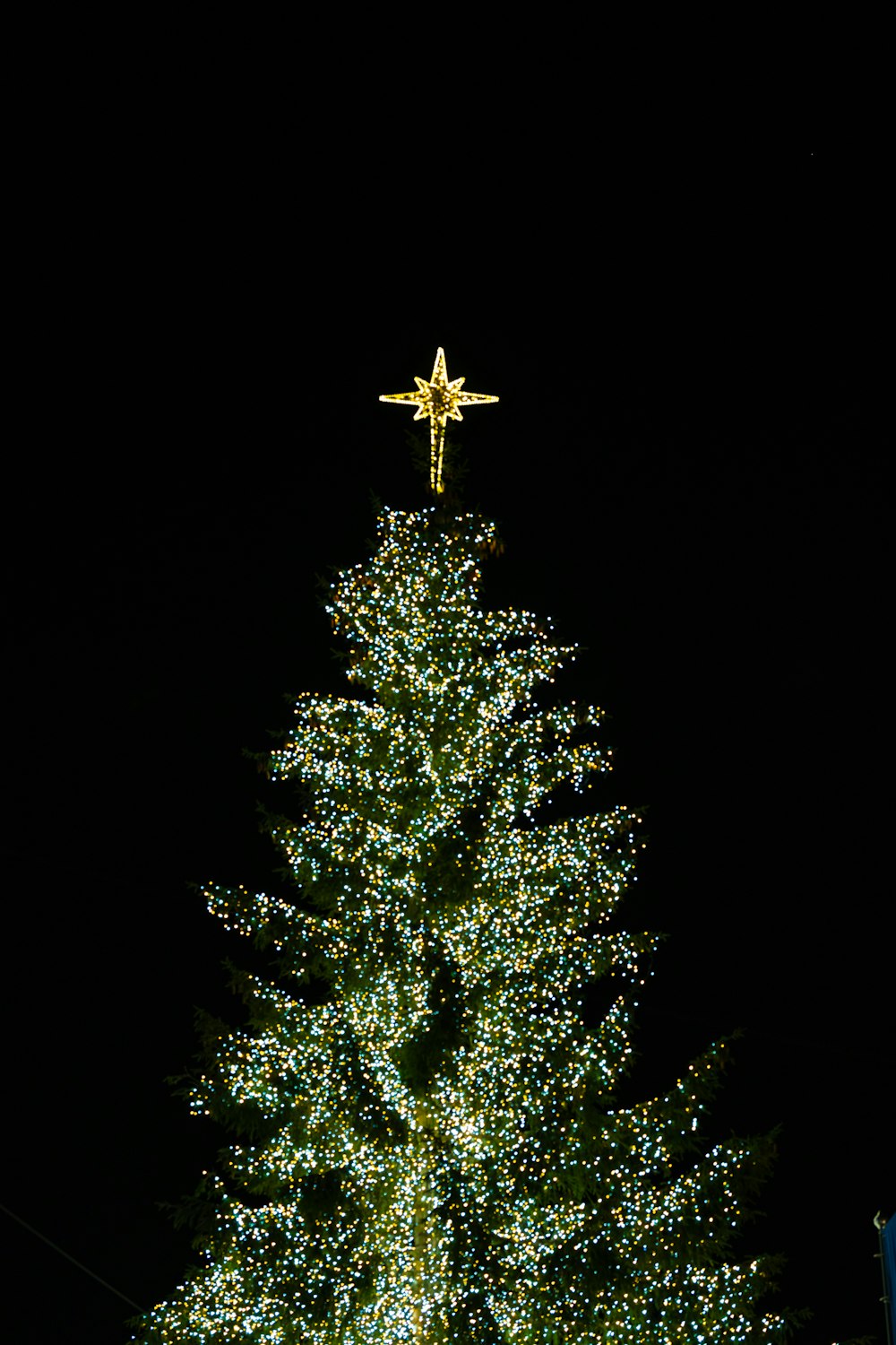 a large christmas tree with a star on top