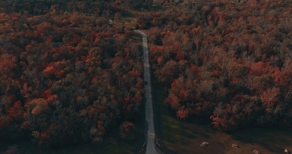 an aerial view of a road surrounded by trees