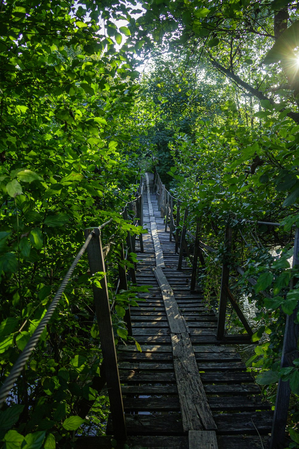 a wooden bridge in the middle of a forest