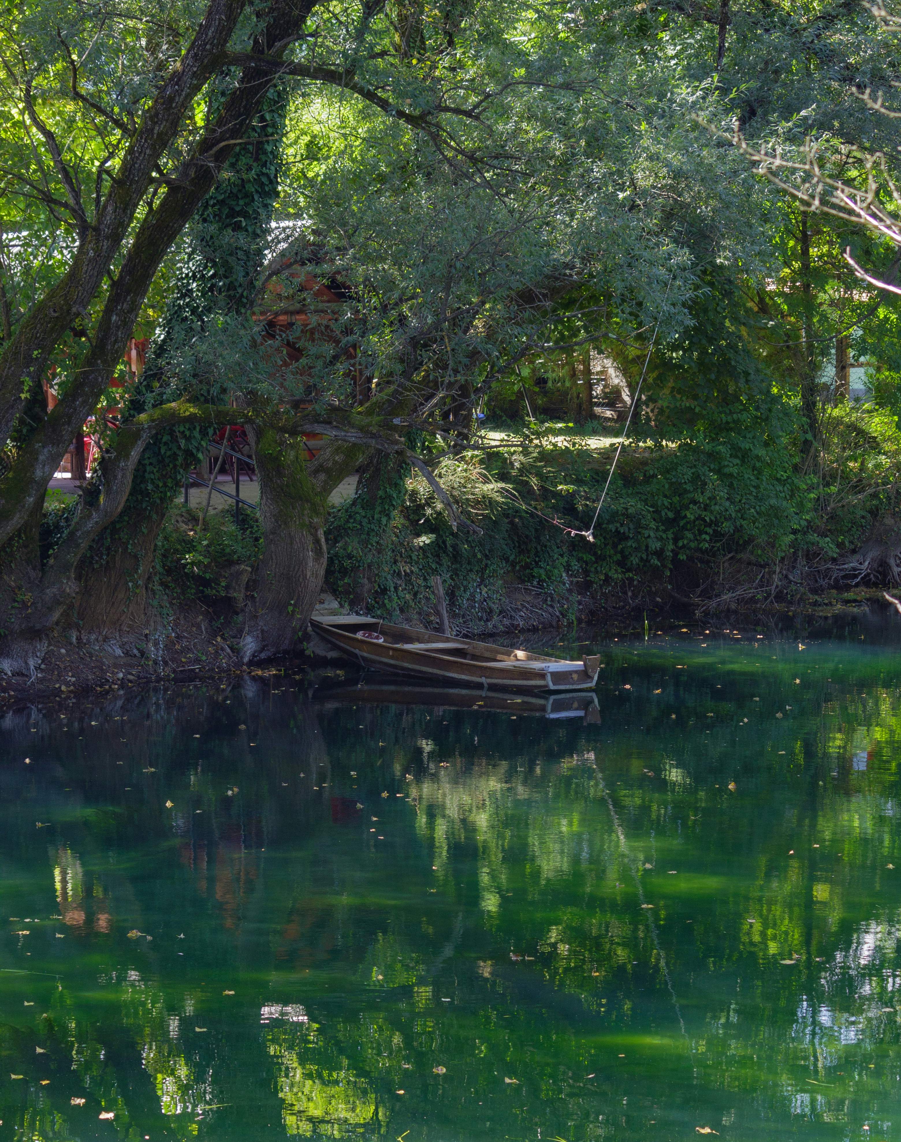 Photo by sporisevicphotography