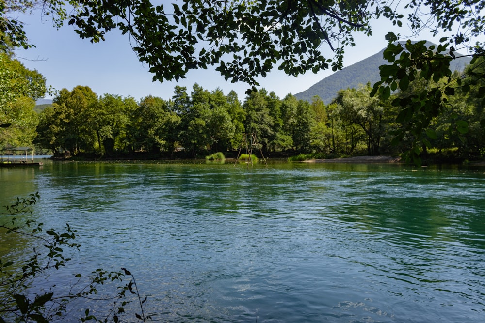 a body of water surrounded by trees and mountains