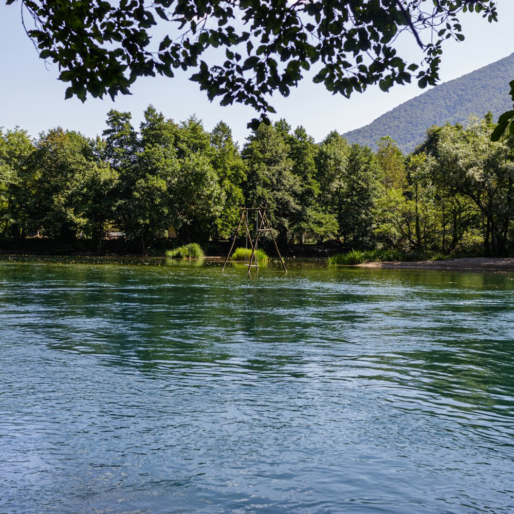 a body of water with trees in the background