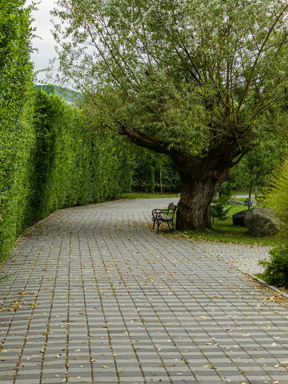 a bench under a tree on a brick walkway