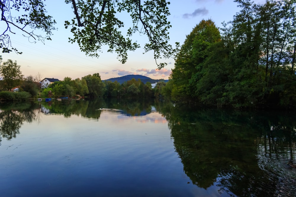 uno specchio d'acqua circondato da alberi e montagne