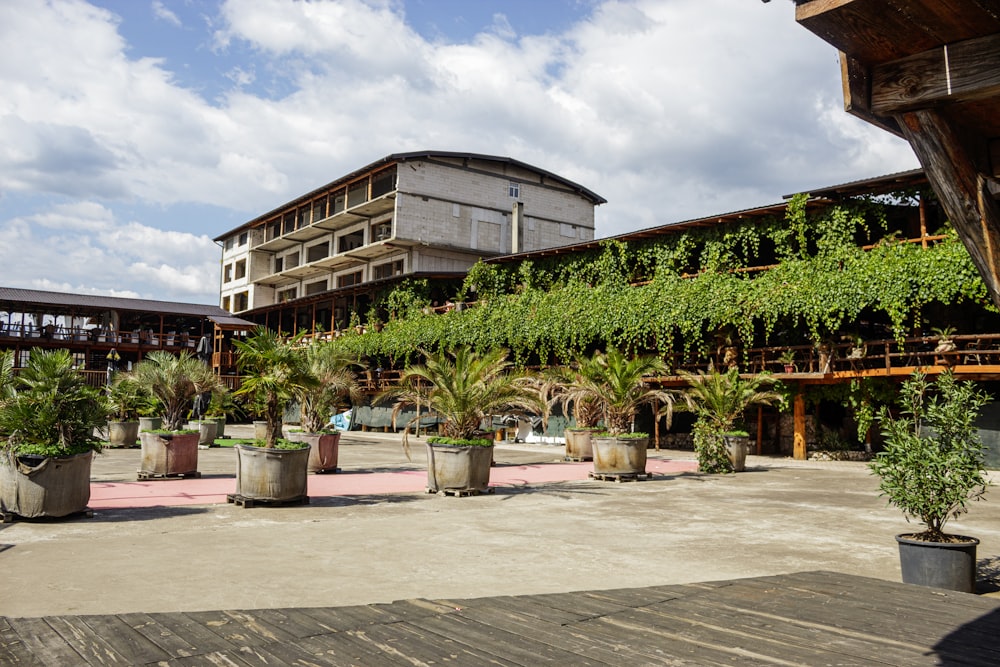 a building with a lot of plants in front of it