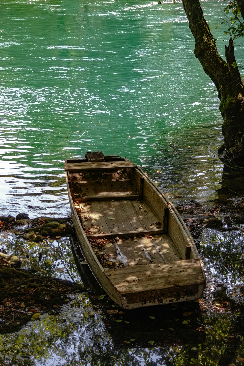 a small boat sitting on top of a river next to a tree