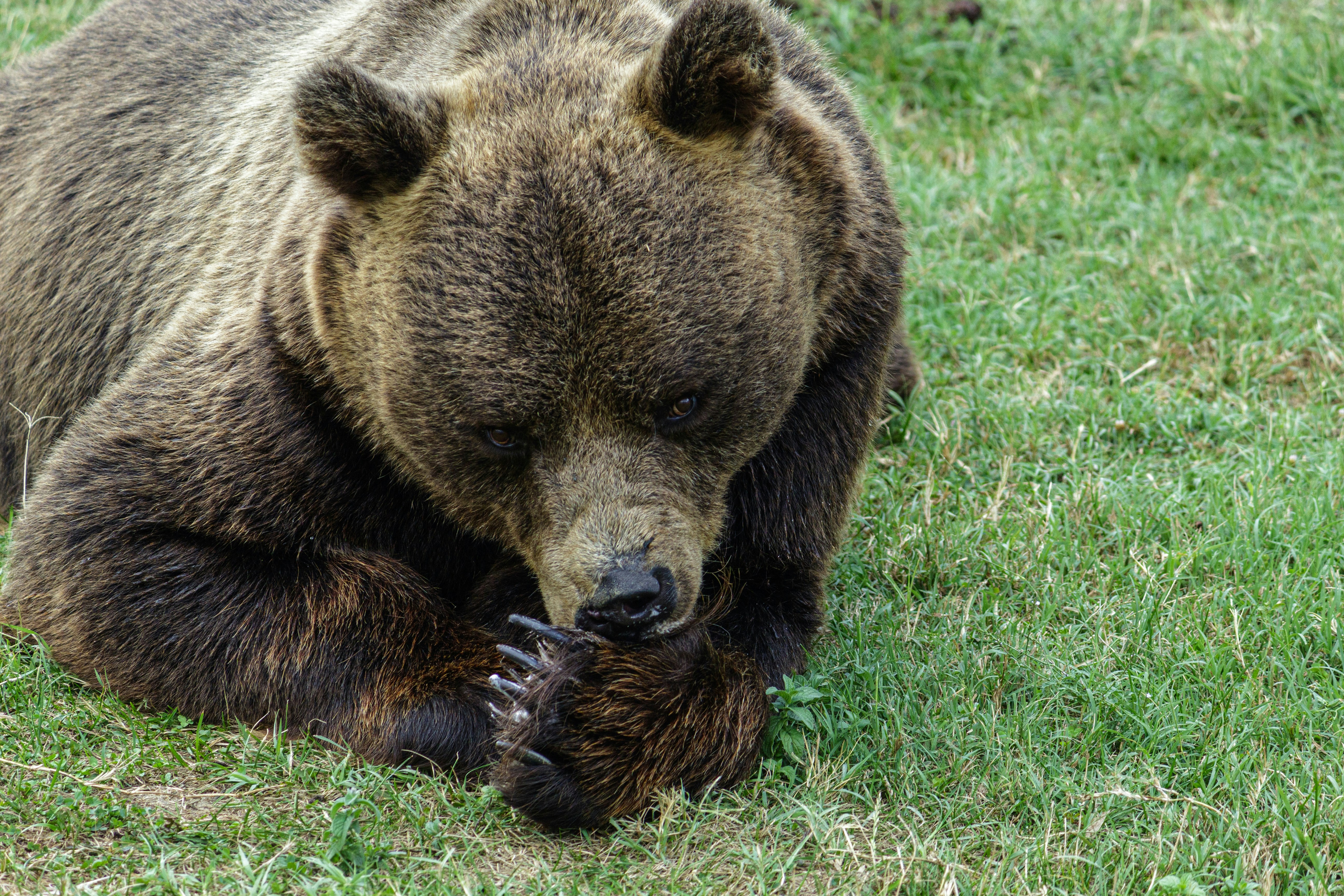 Photo by sporisevicphotography