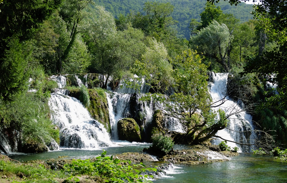 a small waterfall in the middle of a forest