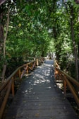 A wooden footbridge crossing a bubbling creek on a shaded hiking path.