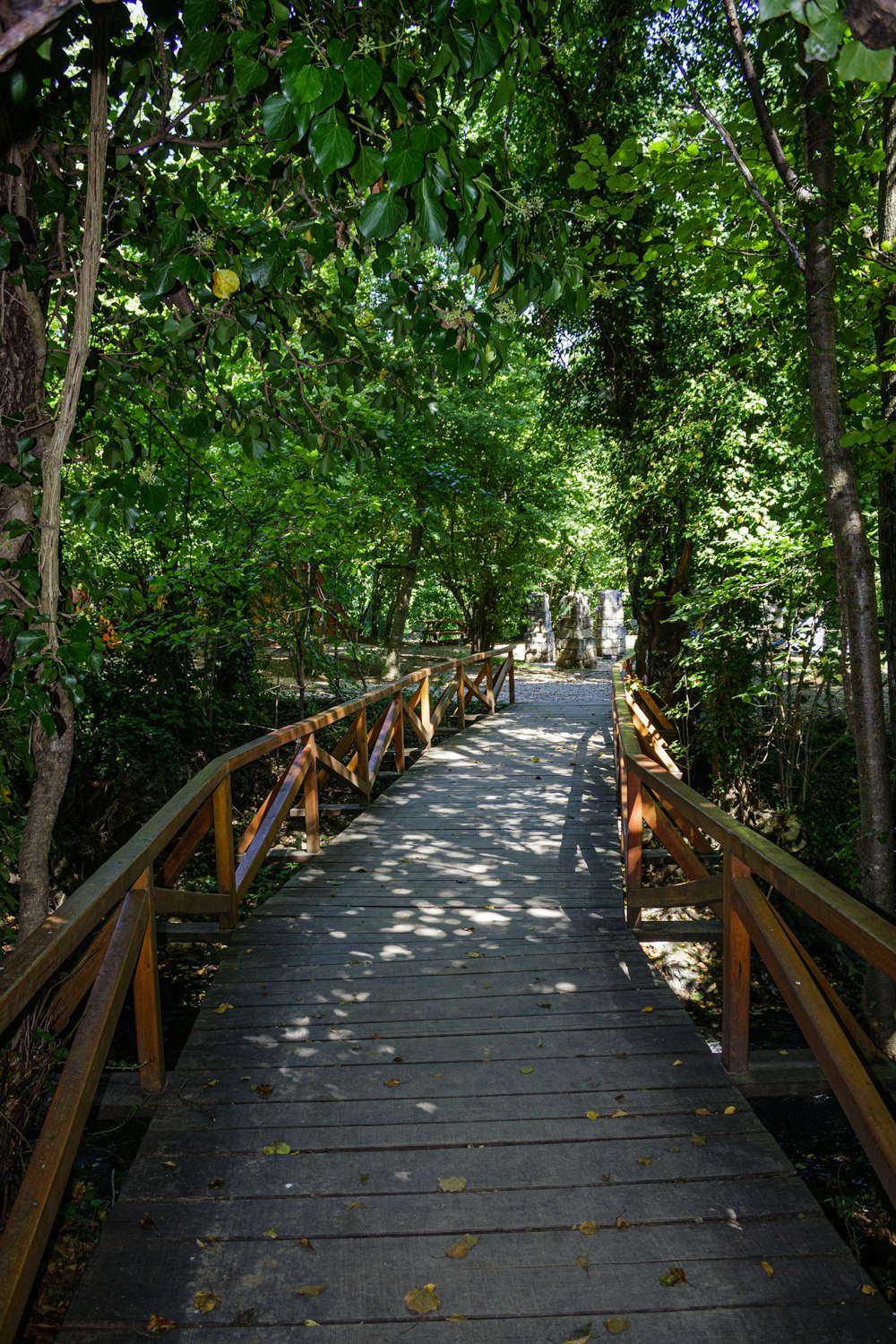 a wooden walkway surrounded by trees in a park