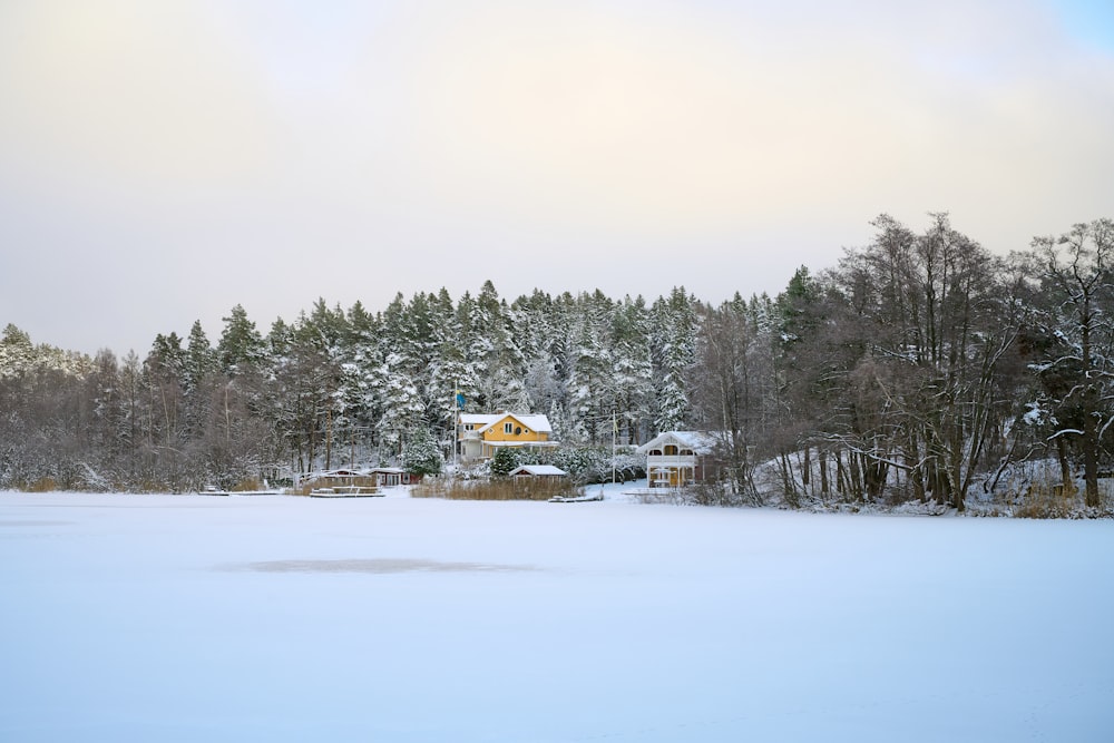 ein schneebedecktes Feld mit einem Haus im Hintergrund