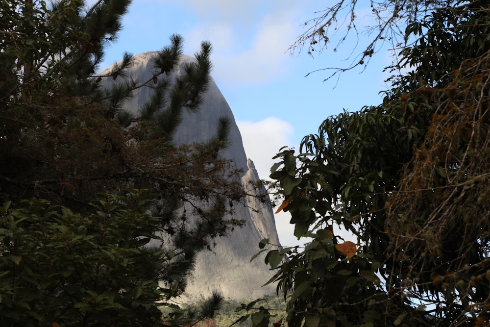 a view of a mountain through some trees