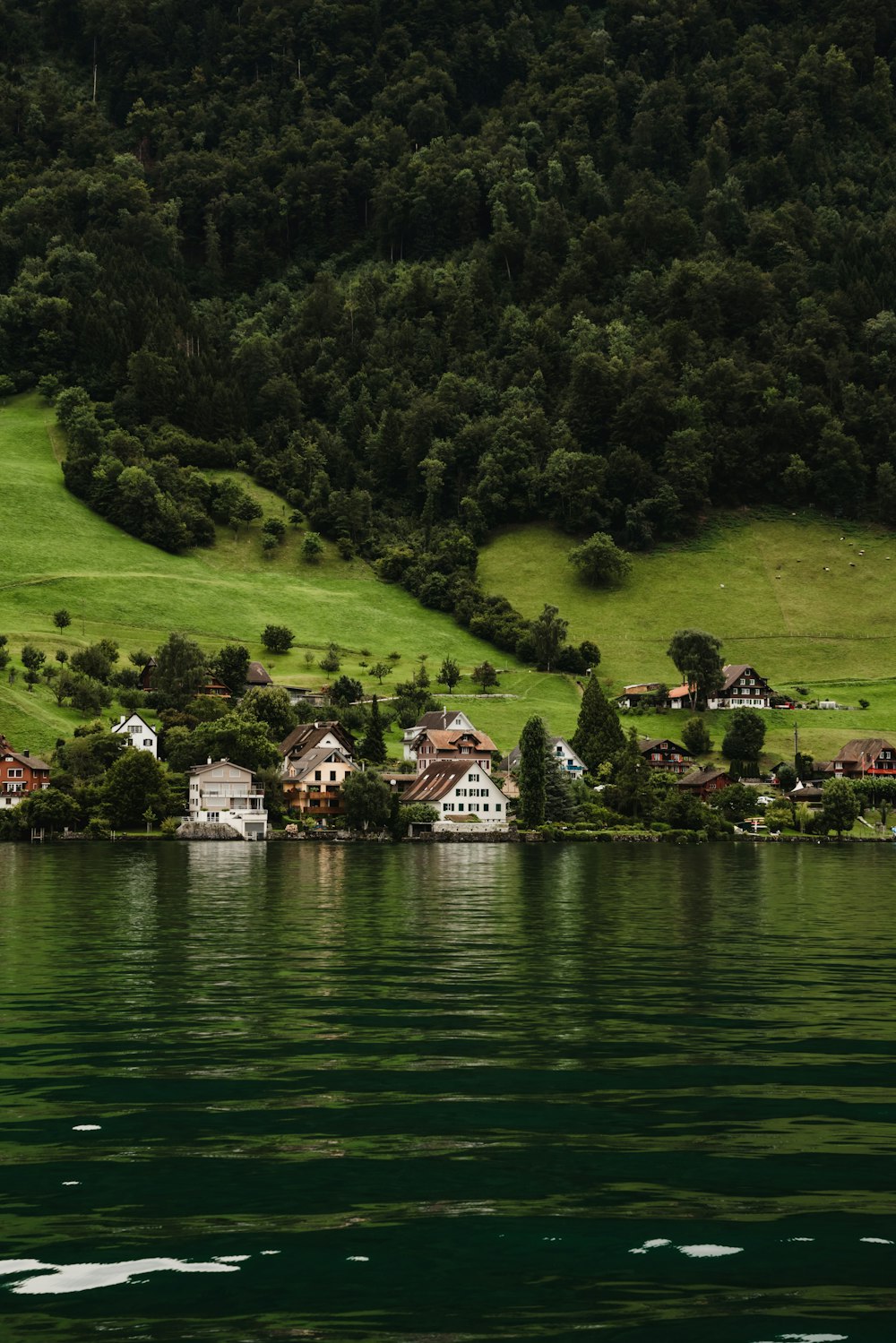 a lake with houses on a hill in the background