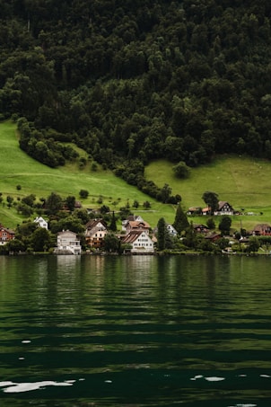 A serene lakeside village is nestled amidst lush green hills. The foreground features calm waters reflecting the landscape. Several quaint houses line the shore, surrounded by trees and open grasslands, with a dense forest rising in the background.