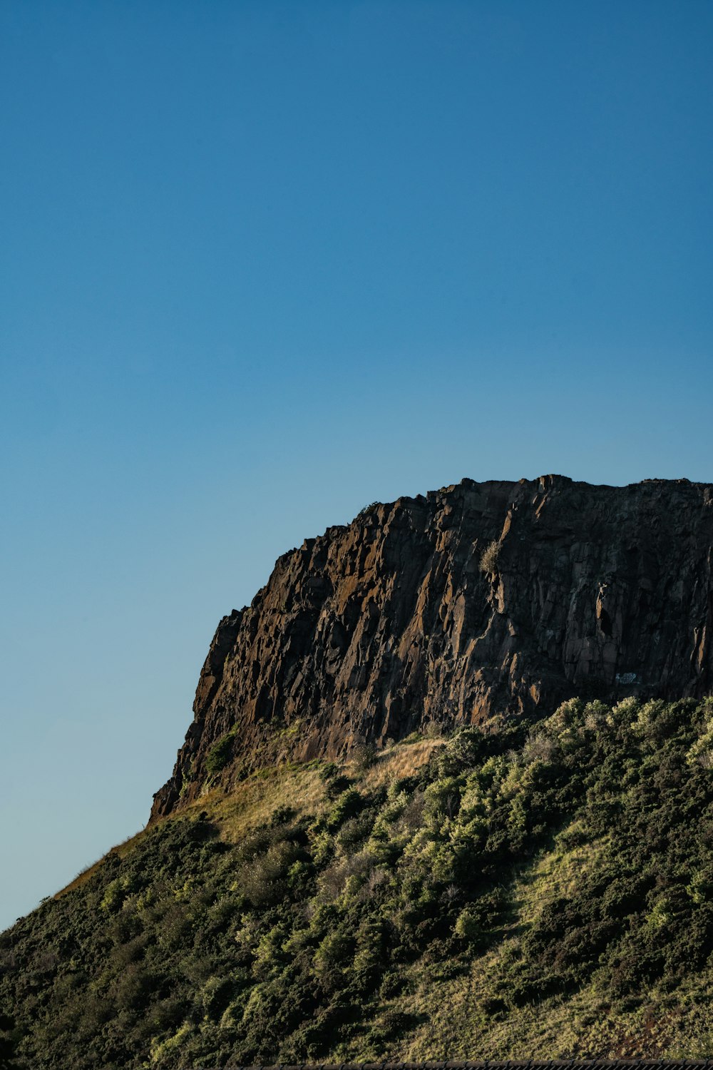 a large mountain with trees on the side of it