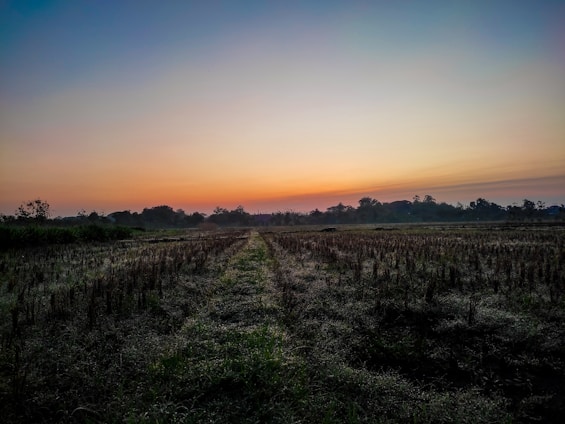 A serene landscape with a winding path leading towards a bright horizon, symbolizing new beginnings and possibilities.