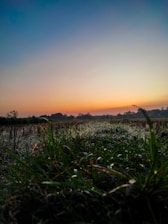 A serene landscape under a red morning sky, evoking calm and inspiration.