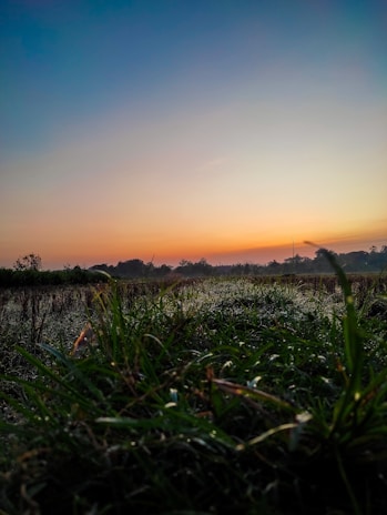 A serene landscape captured at sunrise with soft colors.