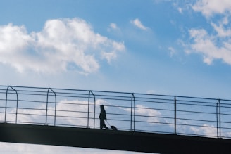 A runner crossing a scenic bridge at sunrise with a suitcase beside them, symbolizing travel and running combined.