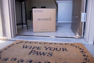 A cardboard box labeled 'MEALPRO' sits inside an open doorway on a tiled floor. The box is marked with 'PERISHABLE, HANDLE WITH CARE.' A doormat outside the door is visible with the text 'WIPE YOUR PAWS' and a pattern of paw prints. The interior of the house has a partially visible staircase and a table.