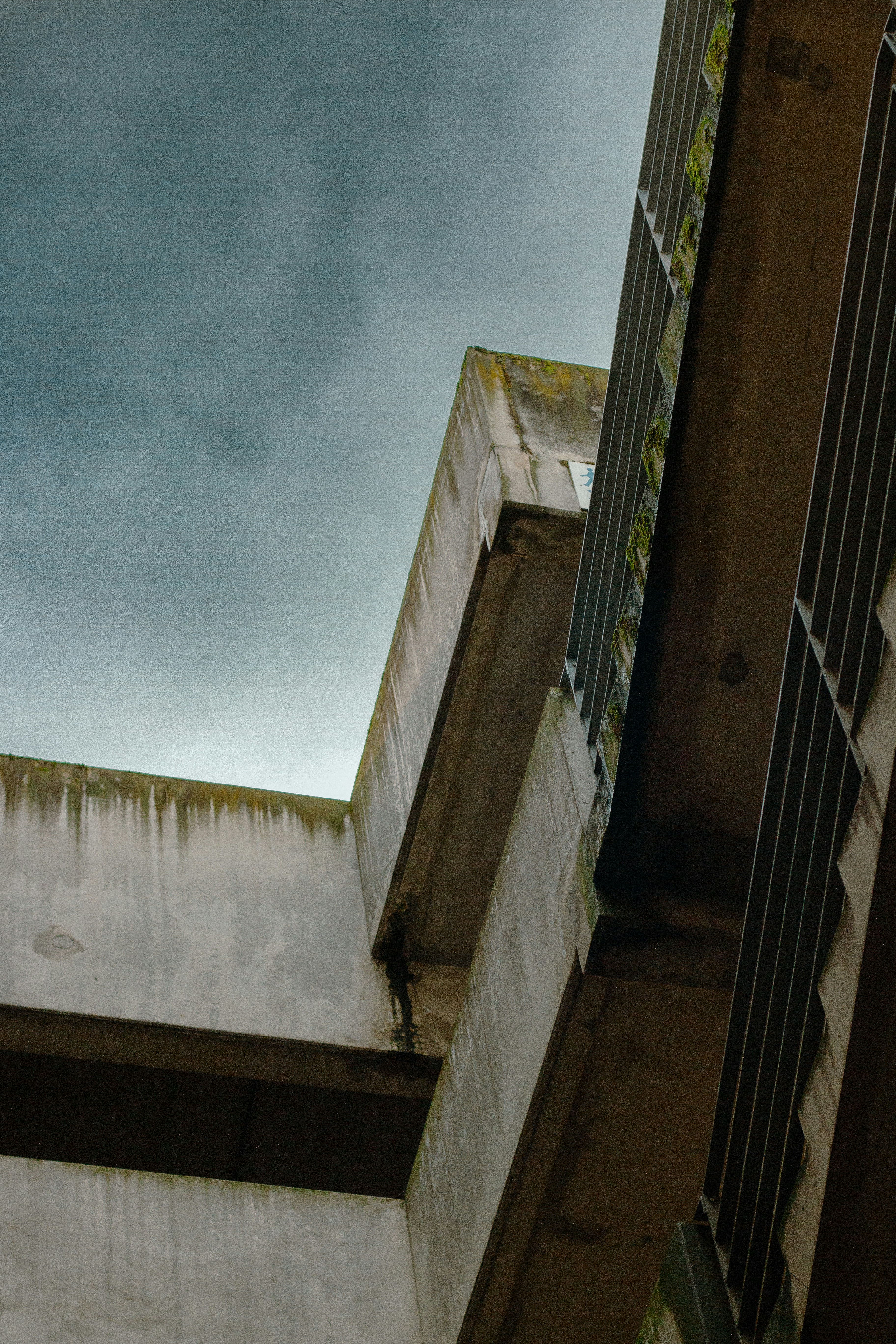 Photo by synder_vision