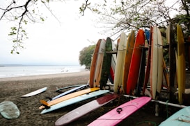 A collection of colorful surfboards is neatly arranged on a beach, with some lying on the sand and others standing in a rack. The background features a calm sea with gentle waves and a few people in the distance enjoying the water. Overhanging branches from a tree frame the upper part of the scene.