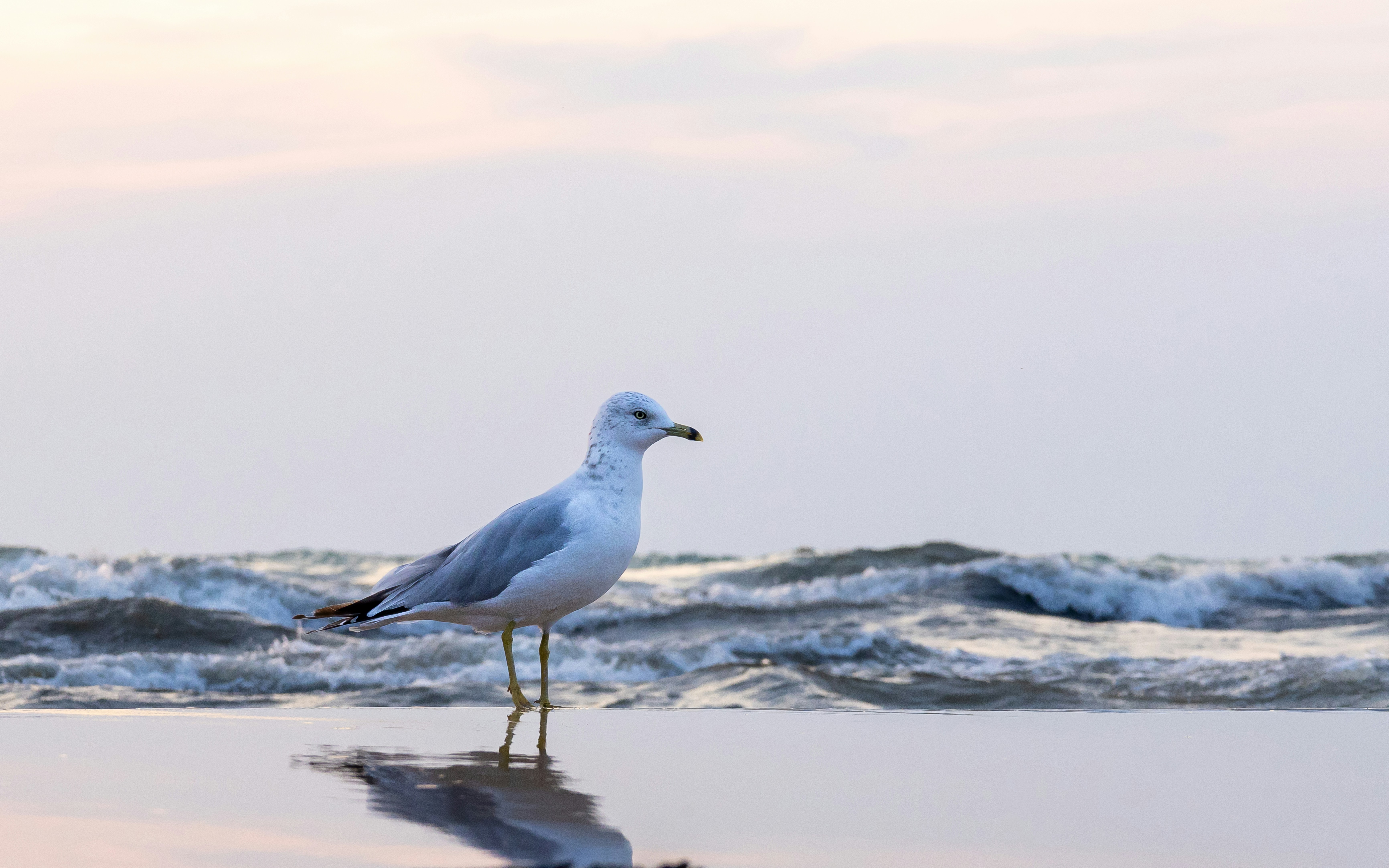 Photo by joshuadaelen